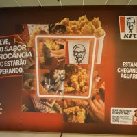 WhatsApp Image 2026-01-29 at 10.19.53